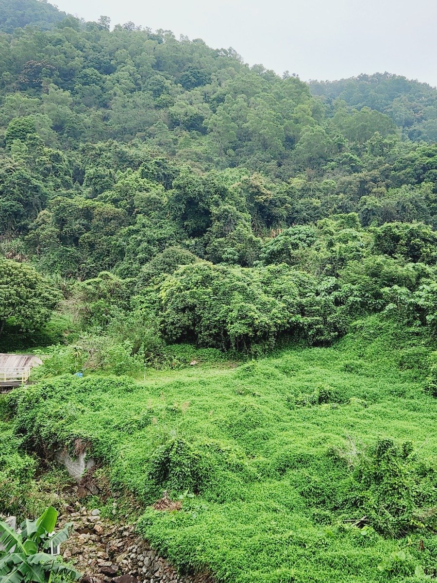 A SHAN TSENG TAU TSUEN