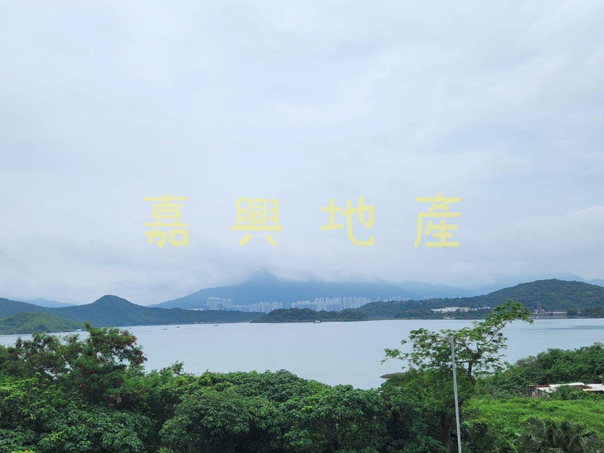 布心排 95081731