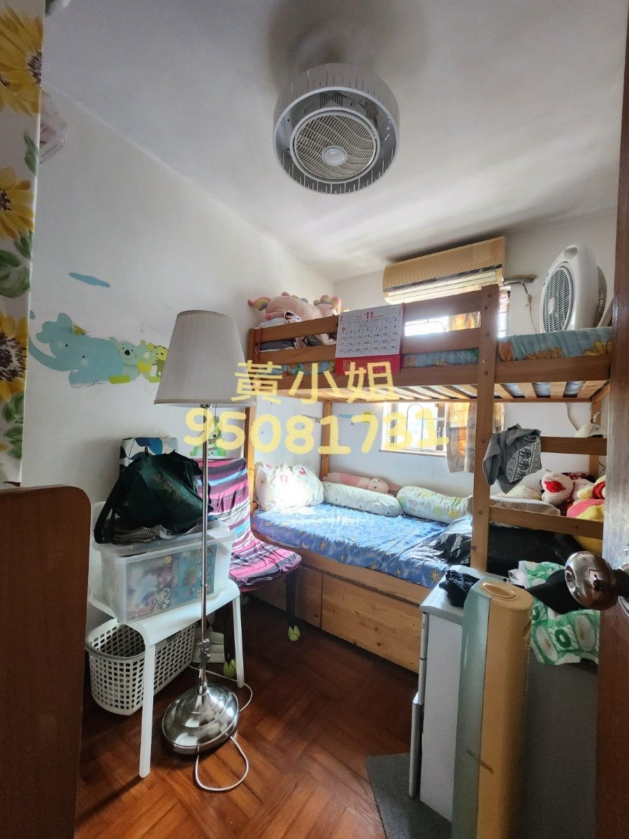 TAI MEI TUK TSUEN