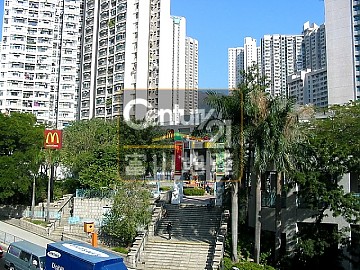 鳳德村 鳳德村