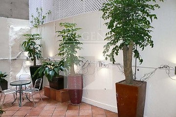 ROBINSON RD 35 (羅便臣道35號) ROBINSON RD 35 (羅便臣道35號)