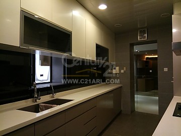 C21ARL C21ARL