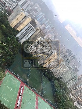 康強苑 綠表市場 康強苑 綠表市場