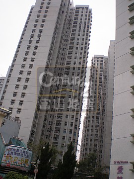 慈愛苑 慈愛苑