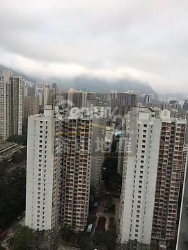 嘉強苑 嘉強苑
