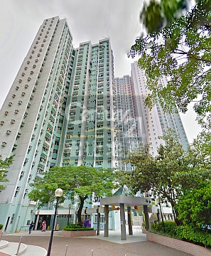 嘉强苑 绿表市场 嘉强苑 绿表市场