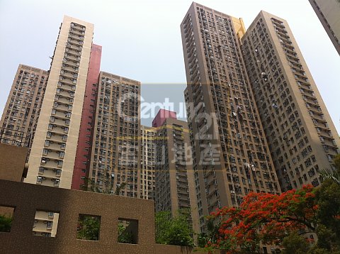 龍蟠苑 龍蟠苑
