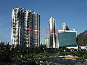 海堤灣畔 海堤灣畔