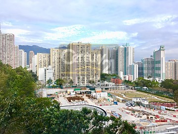 天宏苑 自由市場(補地價) 天宏苑 自由市場(補地價)