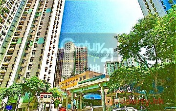 富強苑 白居二 & 綠表 富強苑 白居二 & 綠表