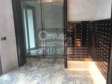 钻岭 随时睇得 钻岭 随时睇得