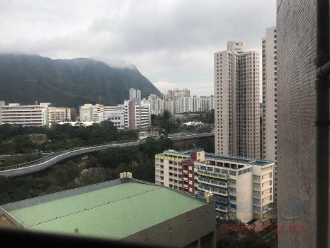 鳳德村 鳳德村