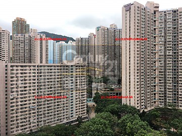 龍蟠苑 龍蟠苑