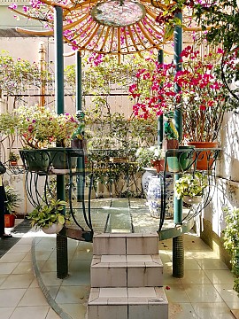 碧麗閣 特色平台大花園 碧麗閣 特色平台大花園