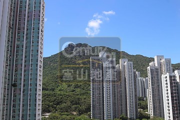 富強苑 富強苑