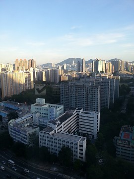 天馬苑 天馬苑