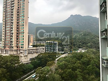 嘉強苑 綠表市場 嘉強苑 綠表市場
