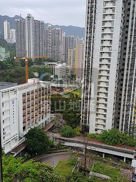天马苑 天马苑