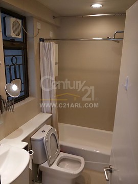 C21ARL C21ARL