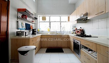 C21ARL C21ARL