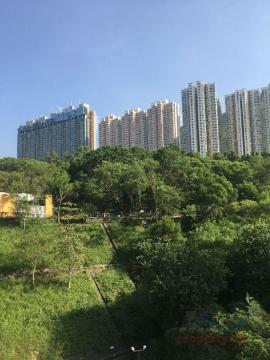 彩峰苑 彩峰苑