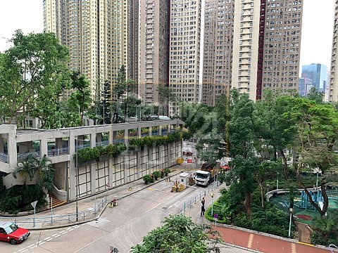 凤德村 凤德村