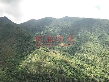映湾园 极高楼层!极.. 映湾园 极高楼层!极..