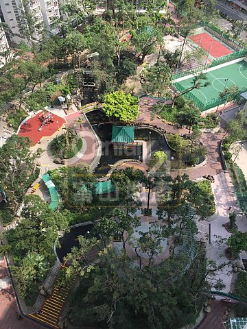 竹園北村 竹園北村