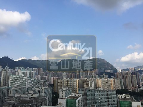 德強苑 德強苑
