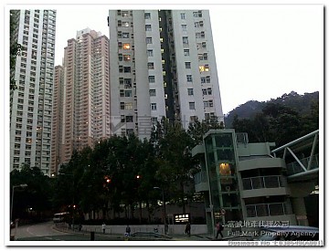 新麗花園 新麗花園