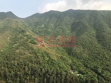 映灣園●綠油山景開揚東南三房● 映灣園●綠油山景開揚東南三房●