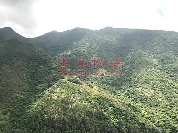 映灣園 第03期 第09座 悅濤軒 映灣園 第03期 第09座 悅濤軒