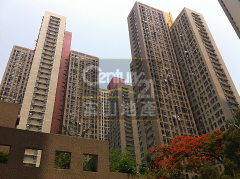 龍蟠苑 龍蟠苑