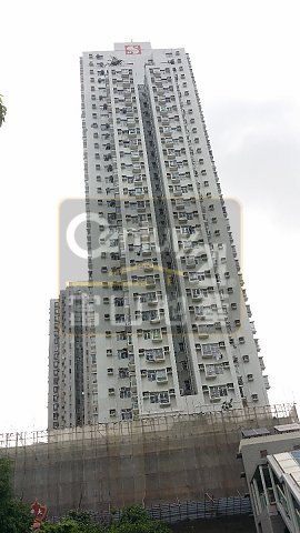 新光中心 新光中心