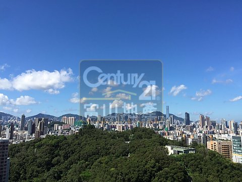 德強苑 最新#最靚向南3房 德強苑 最新#最靚向南3房