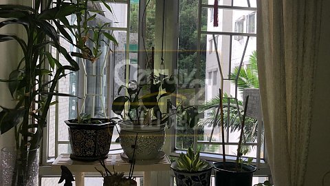 宏景花园 宏景花园