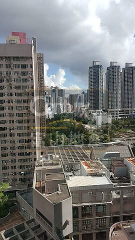 凤钻苑 凤钻苑