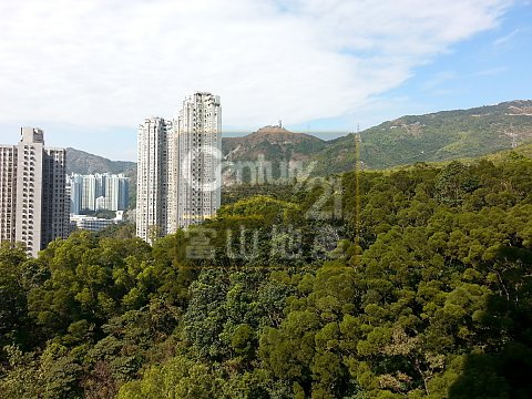 峻弦 峻弦