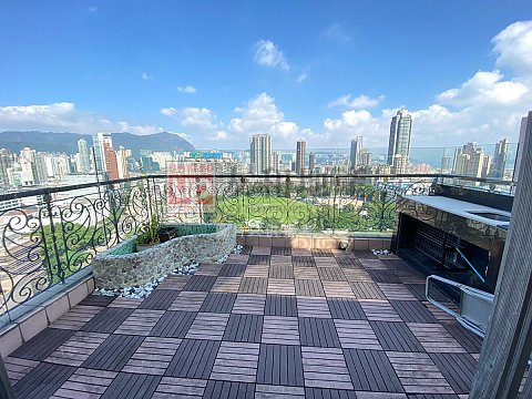 雅丽居 (复式连平台及天台)