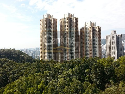 峻弦 峻弦