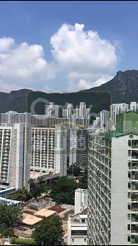 康強苑 康強苑