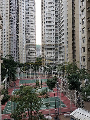 采頤花園 采頤花園
