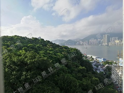 llam.com.hk