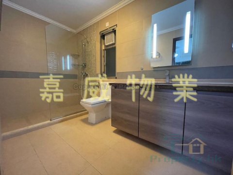 樟木頭村 帝琴豪苑