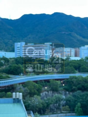 鳳德村 鳳德村