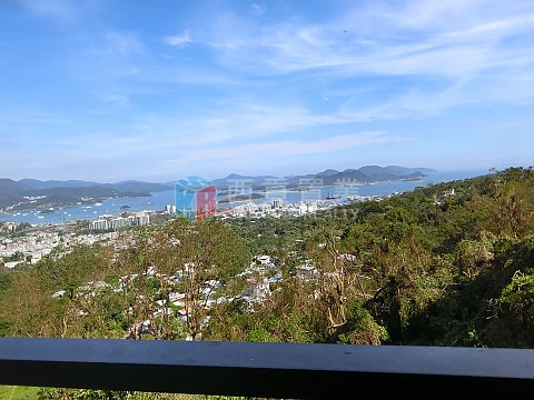 菠蘿輋