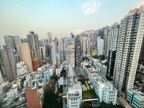 荷李活華庭 A座
