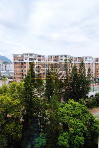 又一居