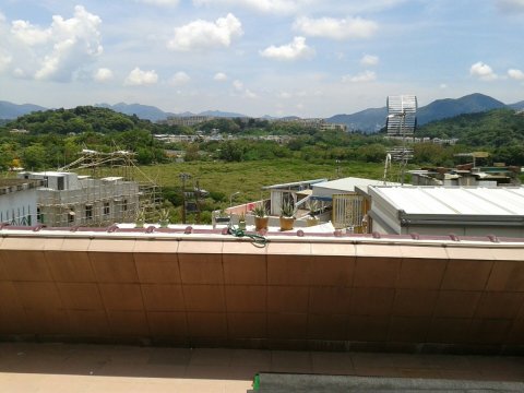 金山花園  95081731