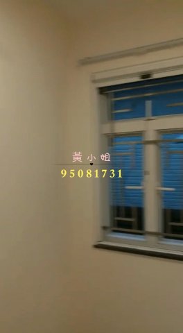 大尾督村  95081731